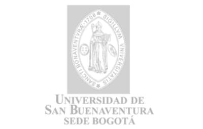 U. San Buenaventura Logo USB