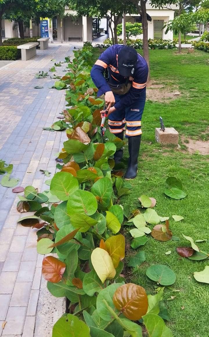 Servicios de Jardinería: Mantenimiento Verde Especializado 5 Mantenimiento de Jardines Induaseo (1)