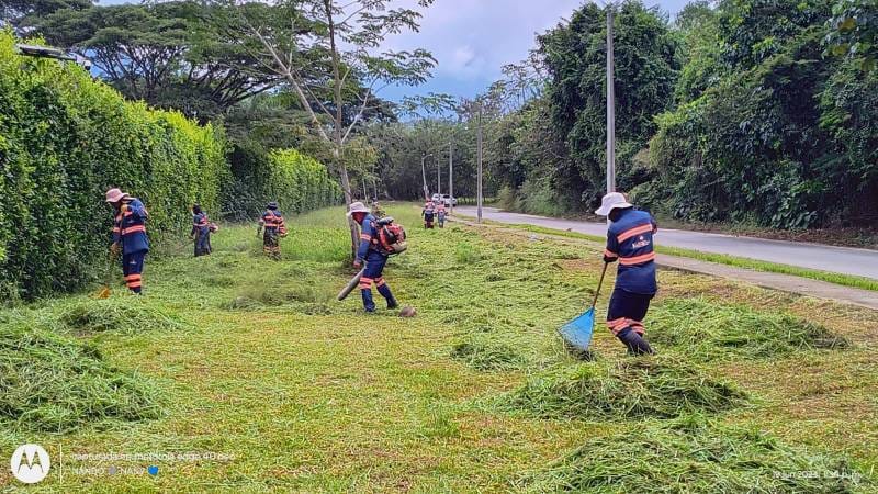 Servicios de Jardinería: Mantenimiento Verde Especializado 10 limpieza de jardines Induaseo