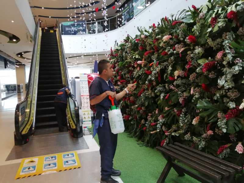 Servicios de Jardinería: Mantenimiento Verde Especializado 11 Servicio de Jardineria Profesioanl Induaseo