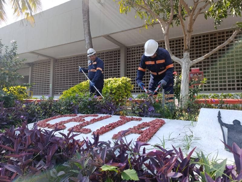 Servicios de Jardinería: Mantenimiento Verde Especializado 3 LIMPIEZA EN CENTROS COMERCIALES